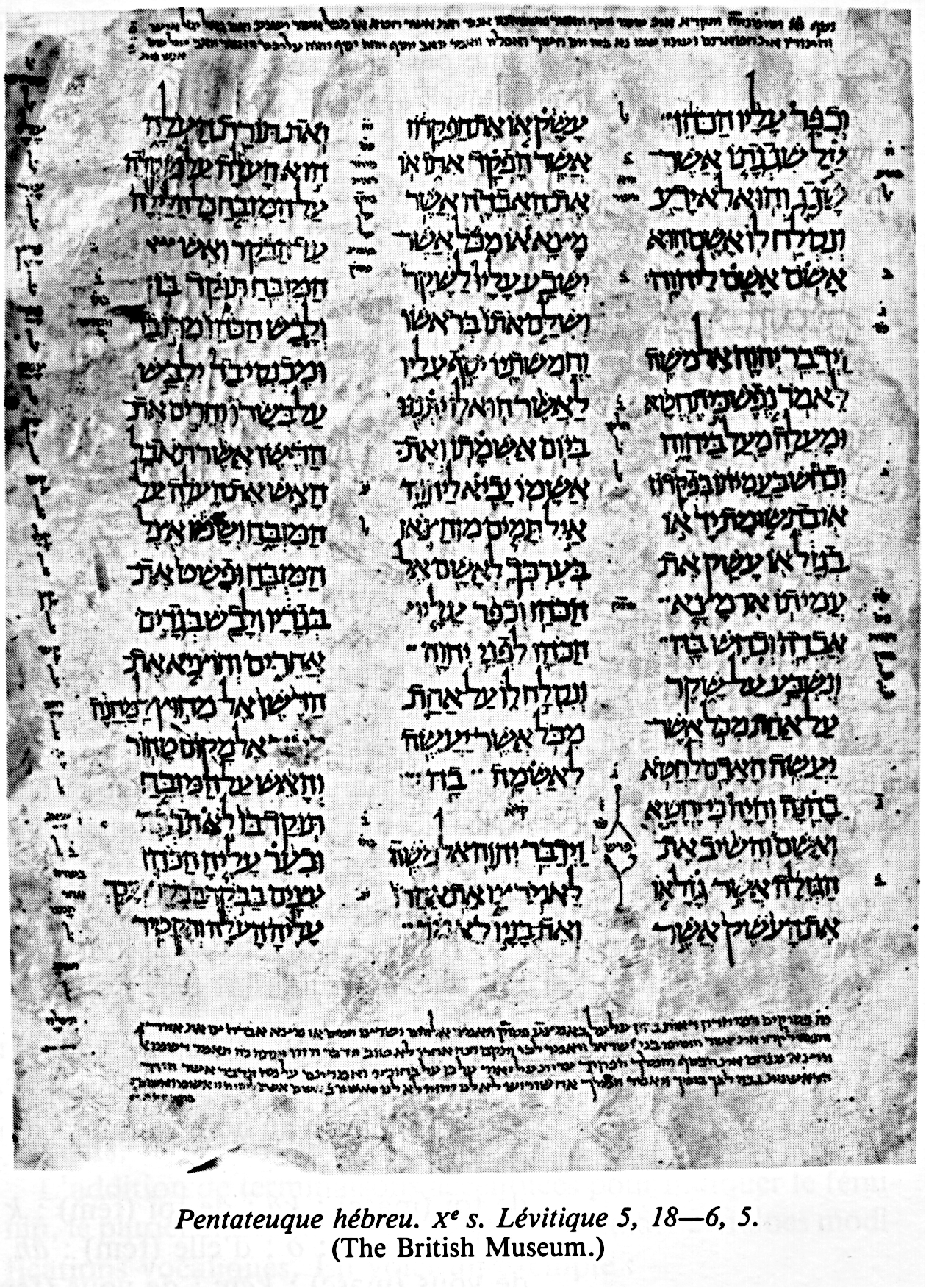 Photo d’un fragment du Pentateuque